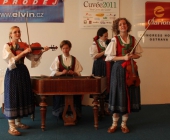 Výstavu vín doprovodila cimbálovka