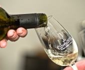 Cuvée 2013 bylo rekordní v mnoha směrech